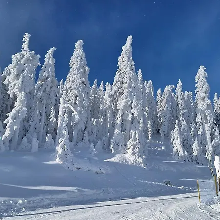 Sleepwell Czarna Gora 3*