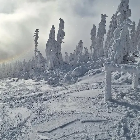 Sleepwell Czarna Gora Aparthotel 3*