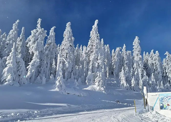 Sleepwell Czarna Gora 3*