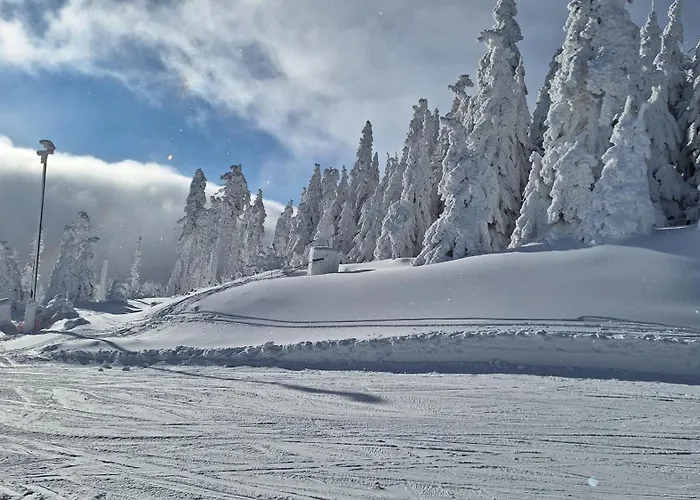 Sleepwell Czarna Gora 3*