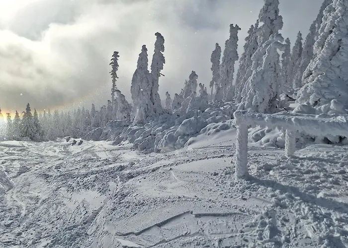 Sleepwell Czarna Gora Ξενοδοχείο με διαμερίσματα 3*