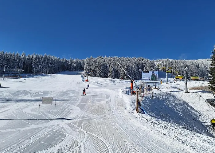 Ξενοδοχείο με διαμερίσματα Sleepwell Czarna Gora